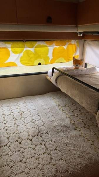 Fiat Ducato Teuva – foto 3