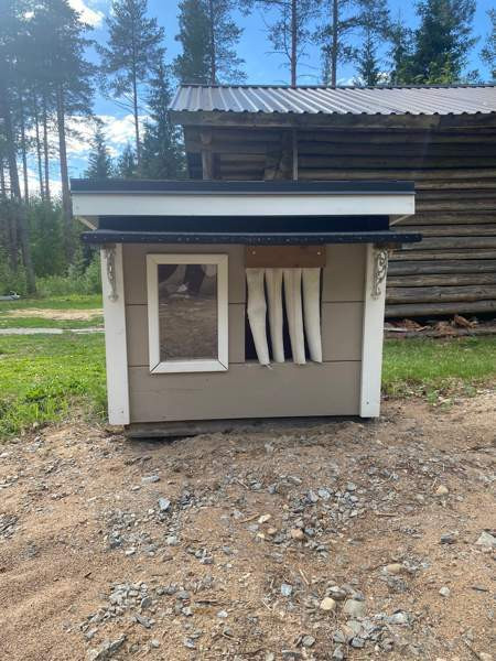 Eristetty Koirankoppi. Ii - valokuva 3