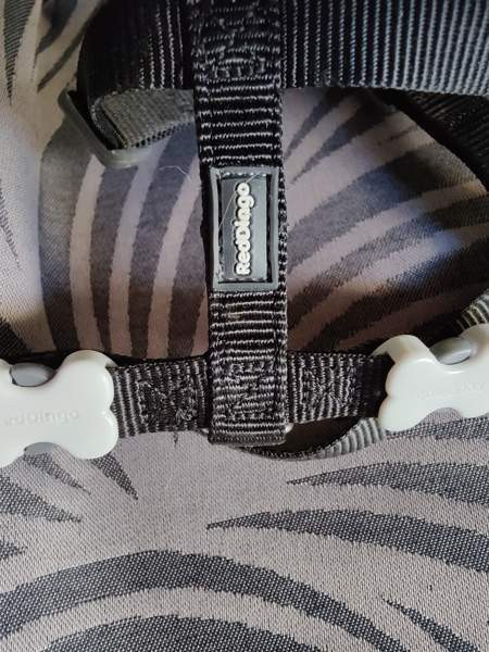 pienen koiran panta ja valjaat Hämeenlinna - valokuva 2