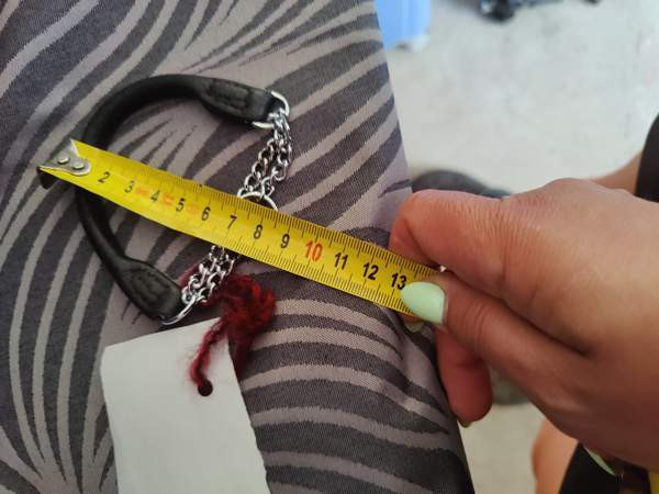 pienen koiran panta ja valjaat Hämeenlinna - valokuva 4