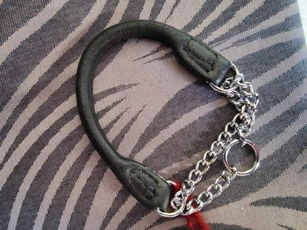 pienen koiran panta ja valjaat Hämeenlinna - valokuva 3