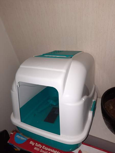 Kissanvessa Турку - изображение 2