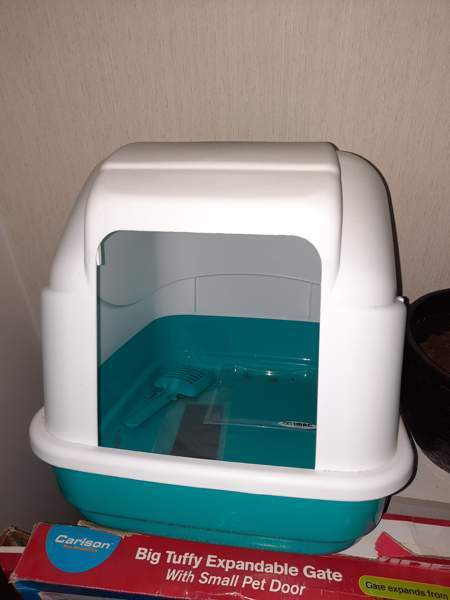 Kissanvessa Турку - изображение 1