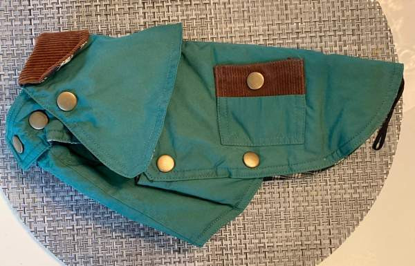 Koiran puku Jyvaeskylae – foto 3