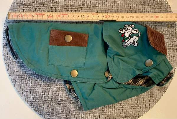 Koiran puku Jyvaeskylae – foto 1