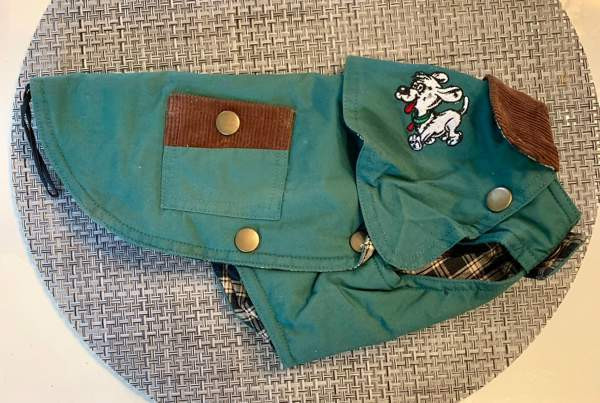 Koiran puku Jyvaeskylae – foto 2