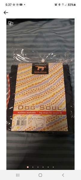 Koiran takki 60 cm Sastamala - valokuva 2