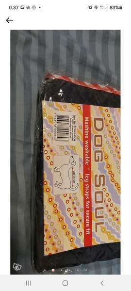 Koiran takki 70 cm Sastamala - valokuva 2