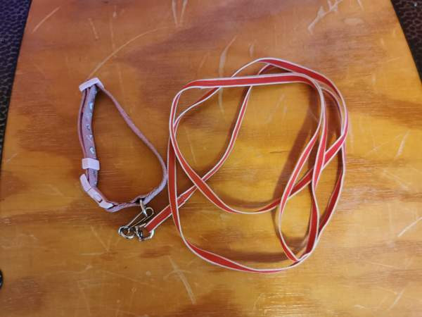 Kissantavaraa laidasta laitaan? Porvoo - photo 7