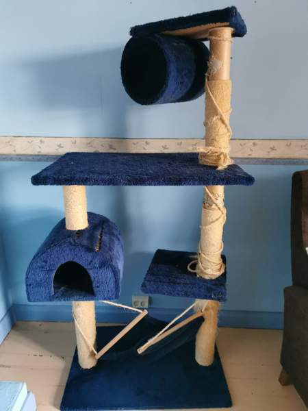 Kissantavaraa laidasta laitaan? Porvoo - photo 2