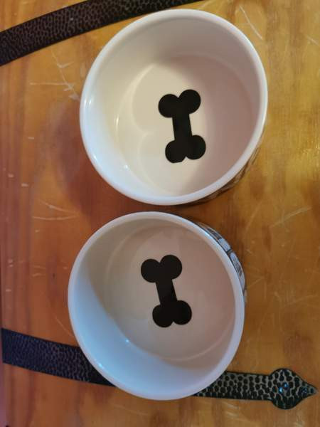 Koiran vesi-ja ruokakippo Porvoo – foto 2