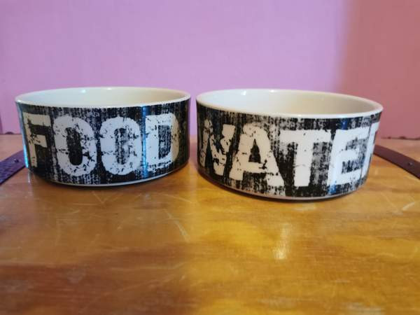 Koiran vesi-ja ruokakippo Porvoo – foto 1