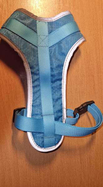 Pienen koiran valjaat Hamina - valokuva 1