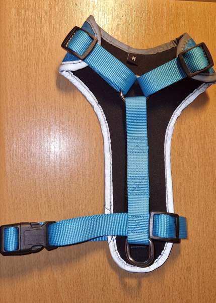 Pienen koiran valjaat Hamina - valokuva 2