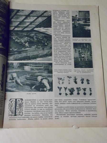 KODIN PUUTARHURI, KOTILIEDEN LIITE N:o4 / 1936 Kauhava - valokuva 2