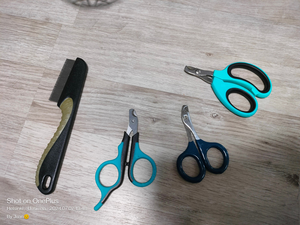 kampa ja kynsileikkuri Espoo - valokuva 1