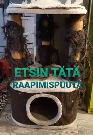 Etsin kuvan harmaata kissan raapimispuuta Тампере