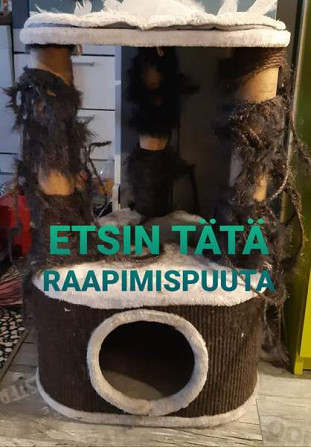 Etsin kuvan harmaata kissan raapimispuuta Tampere - valokuva 1