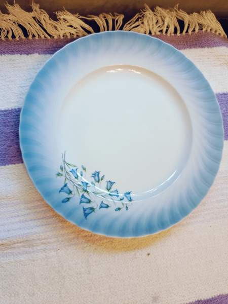 Kissankello ruokalautanen Pori - photo 1