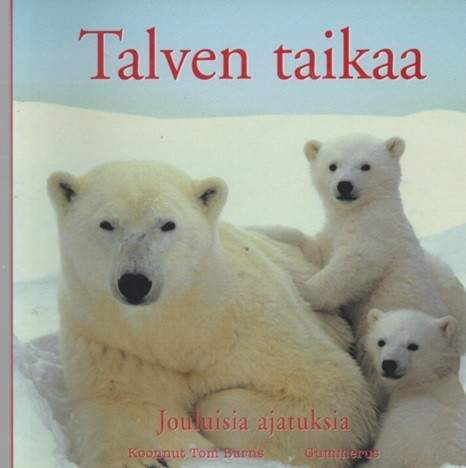 Nuuskamuikkusen mietekirja/Tulevaisuuden unelmia/Talven taikaa/Kirppareiden... Вихти - изображение 5