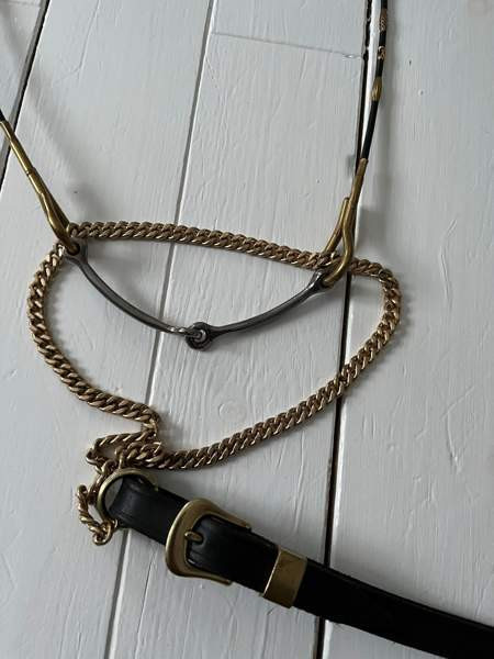 Näyttelyriimu arabille Petäjävesi - valokuva 4