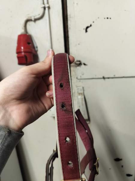 Bucas varsariimu Lappeenranta - photo 2