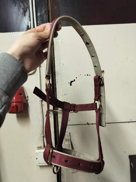 Bucas varsariimu Lappeenranta - photo 1