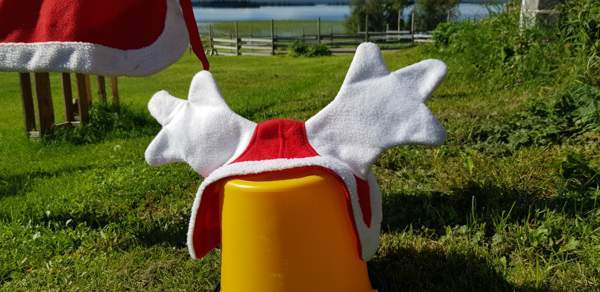 Jouluasusteet hevoselle ja ratsastajalle Kittilä - valokuva 2