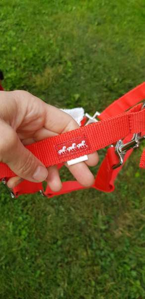 Jouluasusteet hevoselle ja ratsastajalle Kittilä - valokuva 6