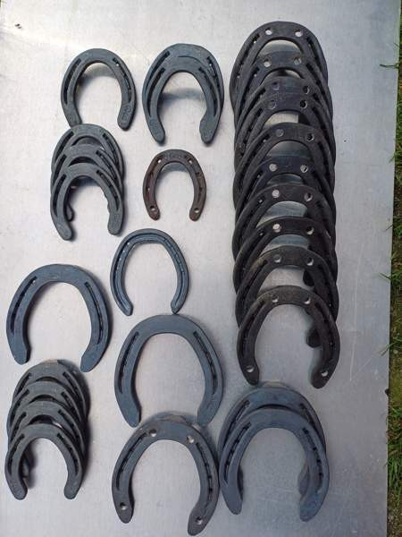 Hevosenkenkiä Sauvo - valokuva 1