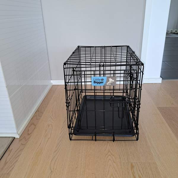 Koiran kevythäkki Vihti – foto 1