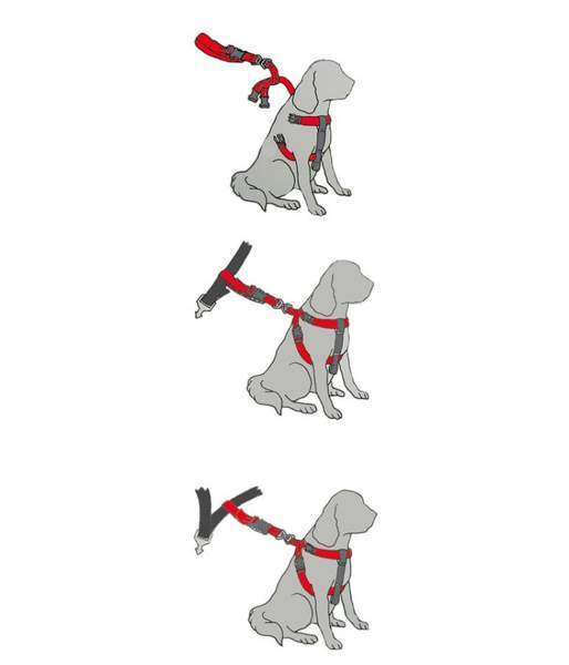 HI-Craft koiran turvavyö valjaat koko S Vaasa - photo 3