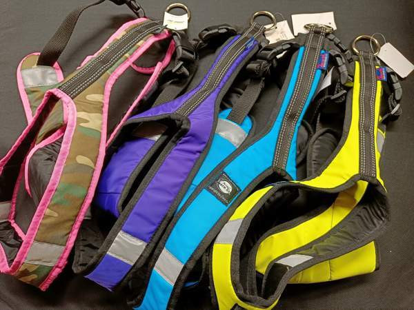 Zero DC short koiran valjaat Eura - valokuva 1