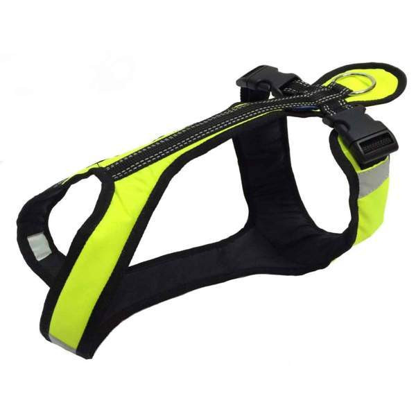 Zero DC short koiran valjaat Eura - valokuva 7