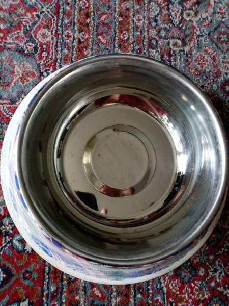 Koirien Iso juoma ja ruoka kulho Espoo - valokuva 1