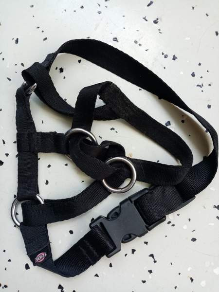 Koirien kaula ja talutus remmejä Espoo - photo 7