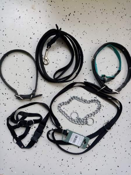 Koirien kaula ja talutus remmejä Espoo - photo 1