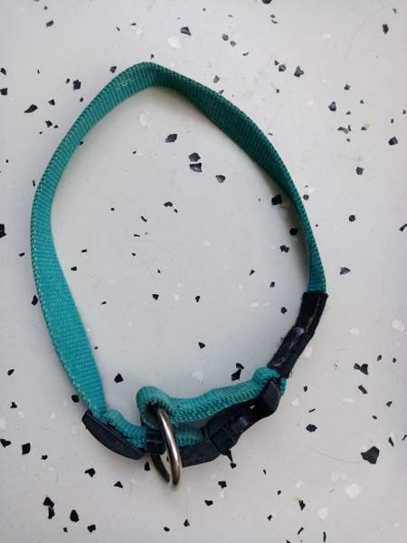 Koirien kaula ja talutus remmejä Espoo - photo 6