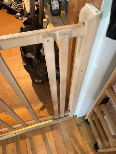 Koiran portti Helsinki – foto 2