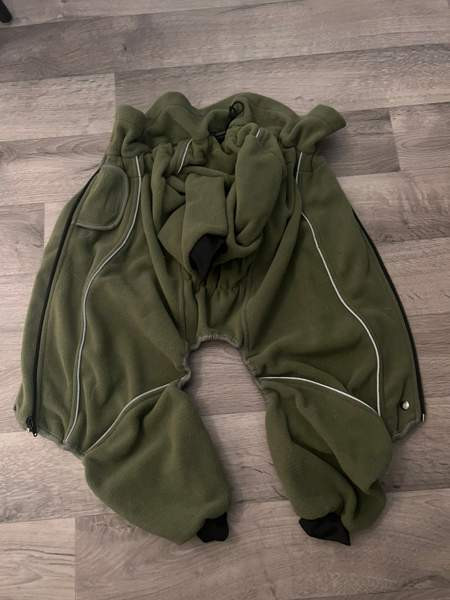 Koiran talvihaalari Tampere - valokuva 1