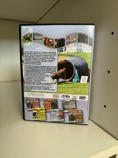 Koirasi kaipaa tekemistä dvd Turku - valokuva 2
