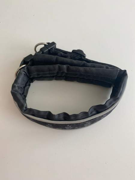 Koiranpanta Vaasa – foto 1