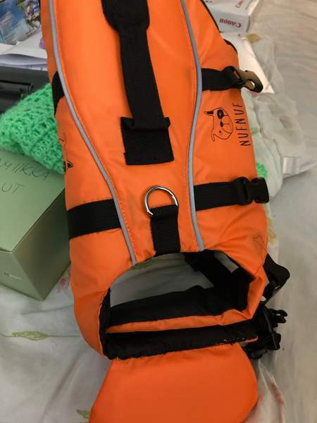 Koiran pelastusliivi Vaasa – foto 2