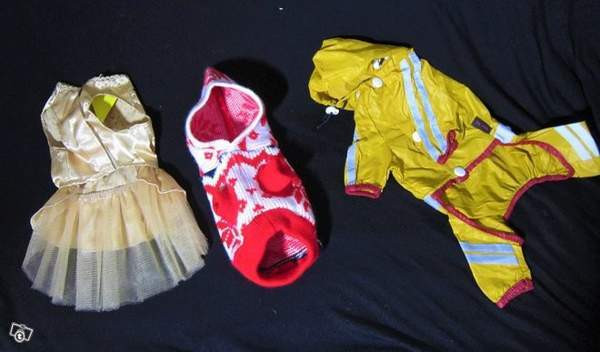 Pienen koiran vaatteita:Juhlamekko ja sadeasu Vantaa - valokuva 2