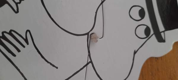 Moomin my first puzzles Hämeenlinna - valokuva 3