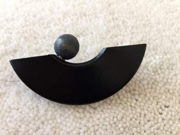 Aarikka musta rintakoru Keuruu - valokuva 1