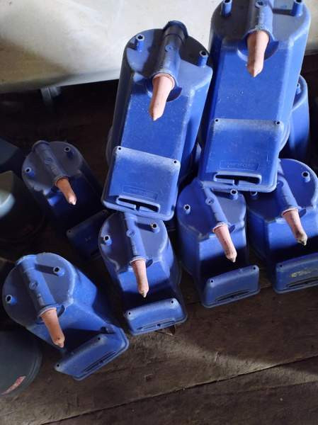 Vasikanjuotto Iisalmi - photo 2