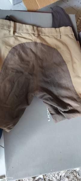 Pikeur Lucinda kontrasti 72 Virolahti - photo 3