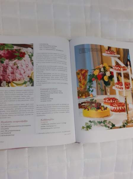 Suuri juhla kirja Helsinki - valokuva 4