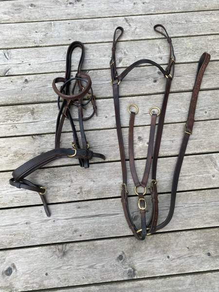 Wahlsten suitset + rintaremmi-martingaali Kotka - valokuva 1